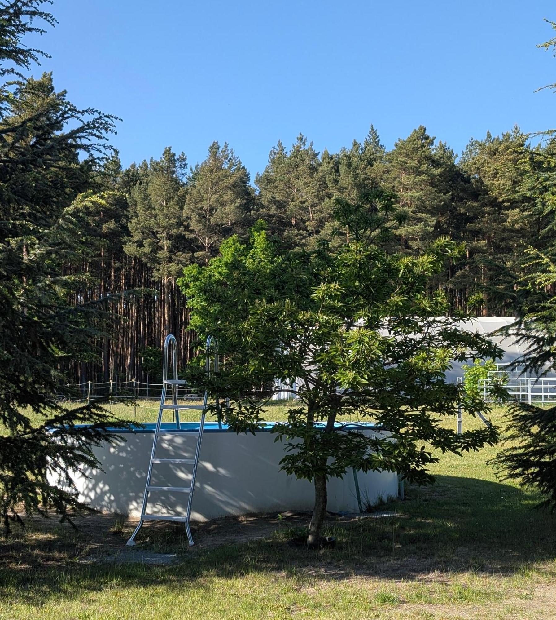 Pension Zum Reiterhof, Fewo 2 Schmogrow 外观 照片